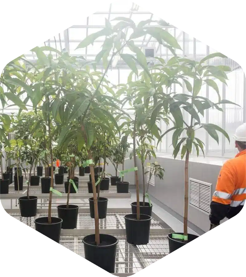 Consolidation of Five Quarantine Centres